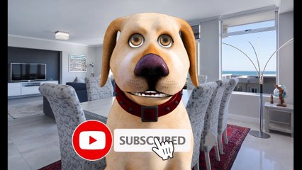 The Funniest Jokes Ever by John Dog