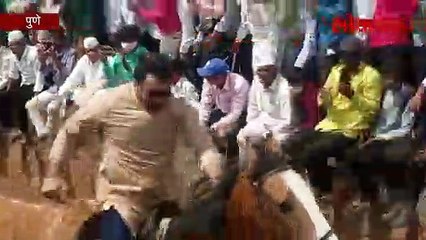 बैलगाडी शर्यतीत घोड्यावर कोल्हे...पण का?