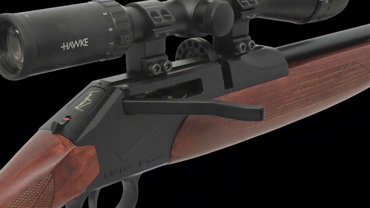 Diana P 1000 rifle