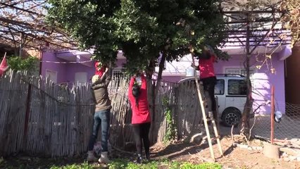 Hataylı kadınlar "gastronomi kenti"nin lezzetlerini üretip satıyor