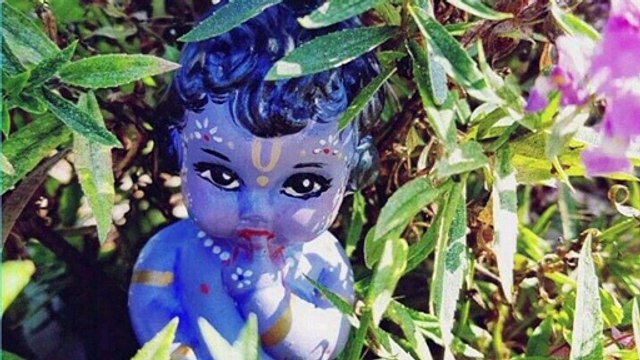 krishan mahima lshri krishna l radha krishna l krishna leela l radha krishna status l krishna status #vicharo ka sangam