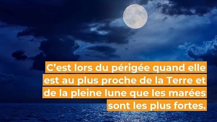 C'est la pleine lune : 3 choses à savoir sur son influence