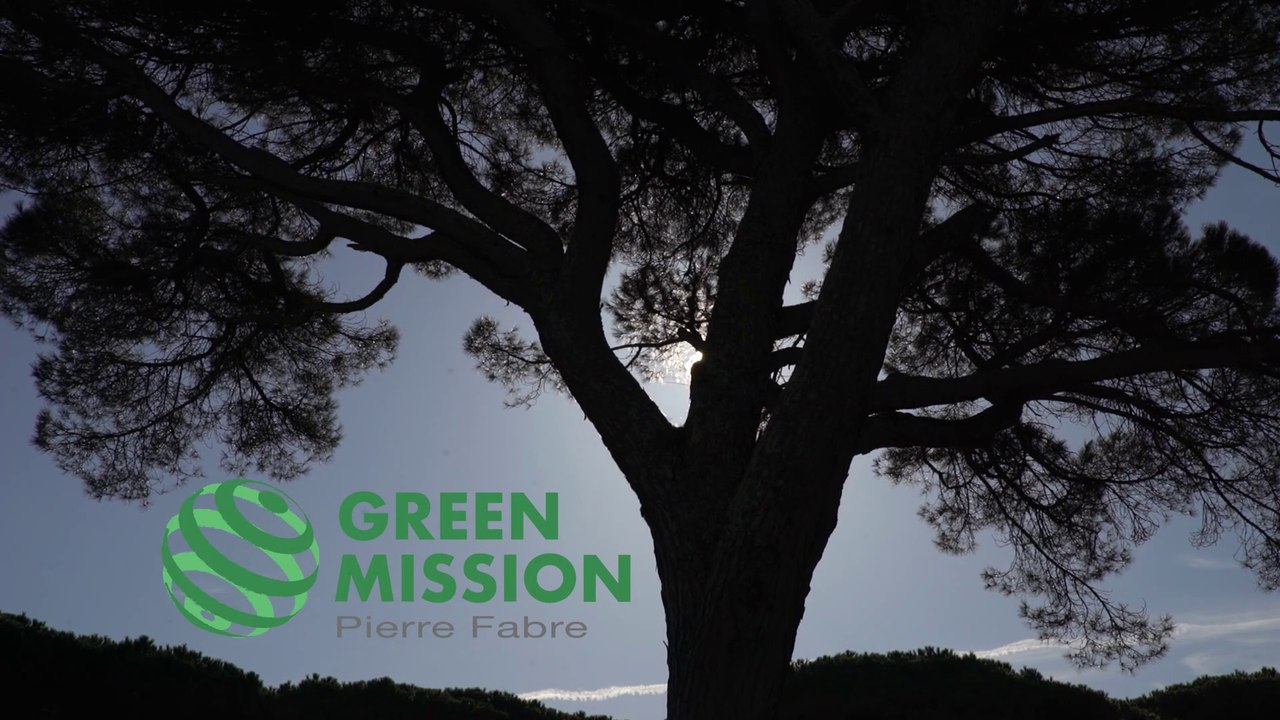 Réalisation Vidéo Pierre Fabre \ Caméraman Toulouse Haute-Garonne