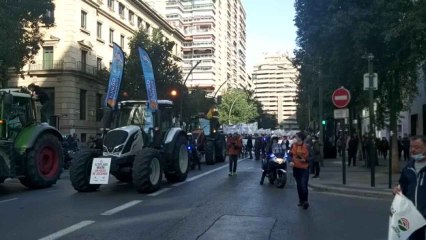 Cientos de agricultores y ganaderos, este miércoles, colapsando Murcia para reclamar soluciones al Gobierno para el sector.