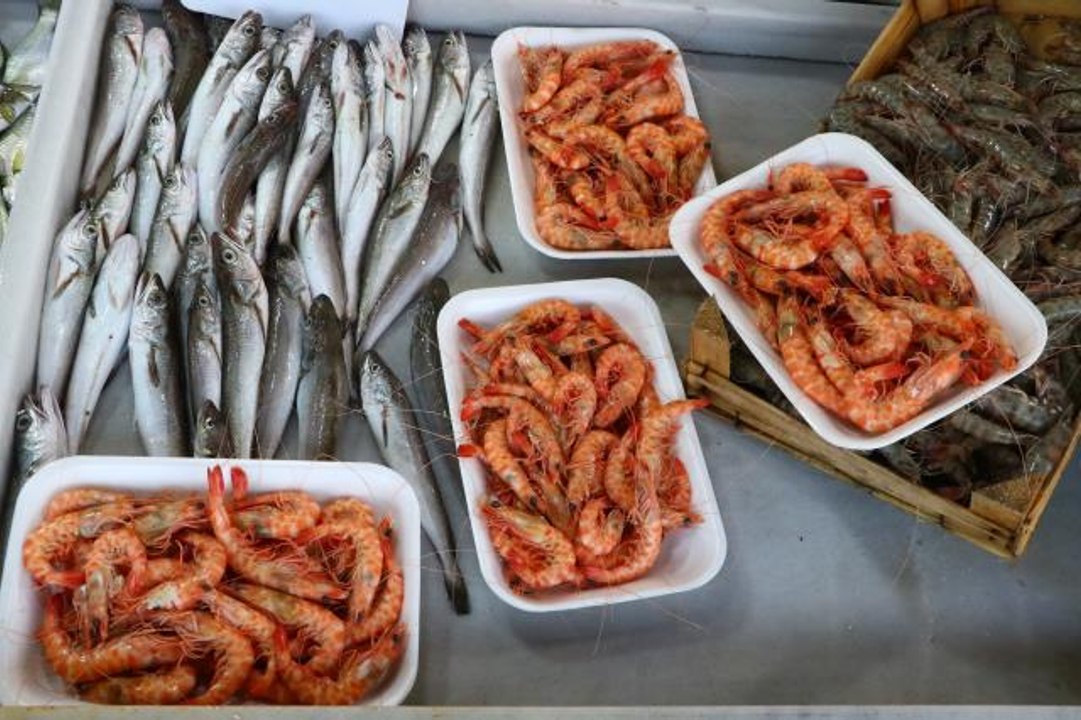 Tekirdağ'da "karides" tezgahları süslüyor