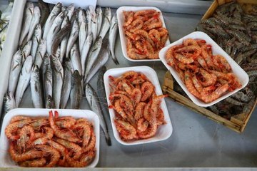 Tekirdağ'da "karides" tezgahları süslüyor