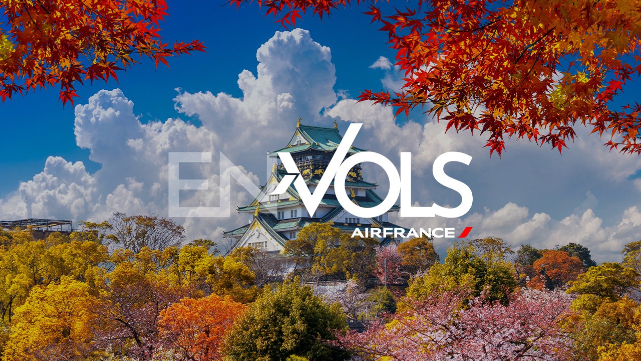 Guide de voyage / Travel Guide - Osaka (Japon)