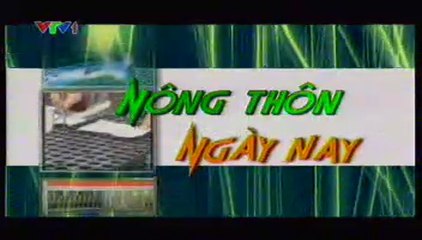 VTV1 - NÔNG THÔN NGÀY NAY: TÍCH TỤ RUỘNG ĐẤT ĐỂ LÀM GIÀU (2006)