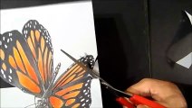 Drawing Butterfly - How to Draw 3D Butterfly - Magical Art on Paper