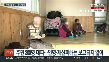 영덕 산불 강풍 타고 확산…축구장 150개 면적 소실