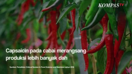 Makanan & Minuman  yang Membuat Flu Makin Parah, Apa Saja?