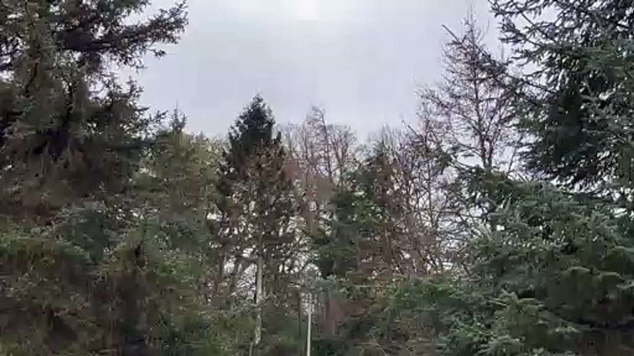 Storm Dudley