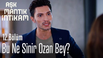 Bu ne sinir Ozan Bey?  - Aşk Mantık İntikam 12. Bölüm