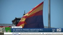 GOP-controlled Arizona Senate passes 15-week abortion ban