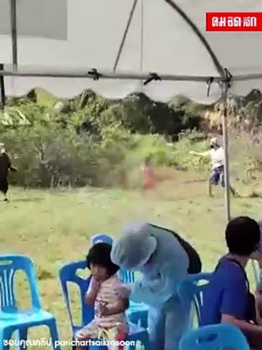 (คลิป) "หนูน้อย" ติดสปีดวิ่งสี่คูณร้อย หลังไม่อยากตรวจ ATK ชาวเน็ตแห่เอ็นดู