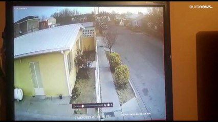 في مشهد مخيف.. السماء تمطر مئات الطيور في المكسيك والأسباب وراء نفوقها لا تزال مجهولة