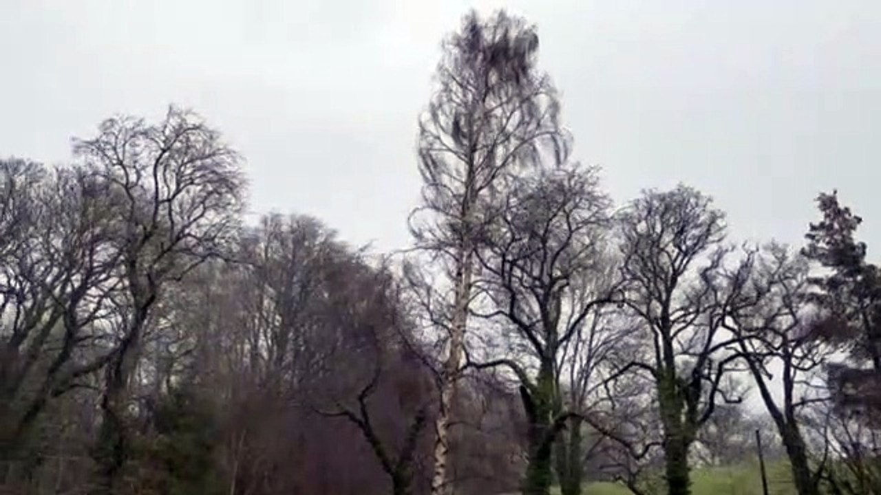 Listen to Storm Dudley arrive