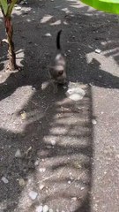 Frederick Bousquet et sa fille Manon à Tahiti.