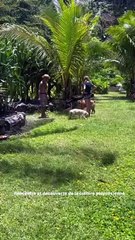 Frederick Bousquet et sa fille Manon à Tahiti.