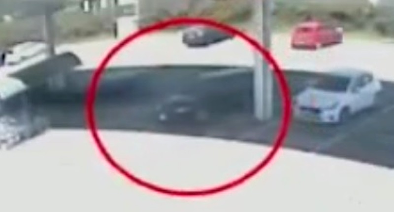 Video Bologna, furti nei parcheggi dei supermercati: 2 arresti (16.02.22)