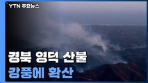 경북 영덕 산불, 강풍 타고 확산...올해 첫 산불 3단계 / YTN