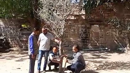 Video- यहां आज भी जीवित है होली की पुरातन परंपरा