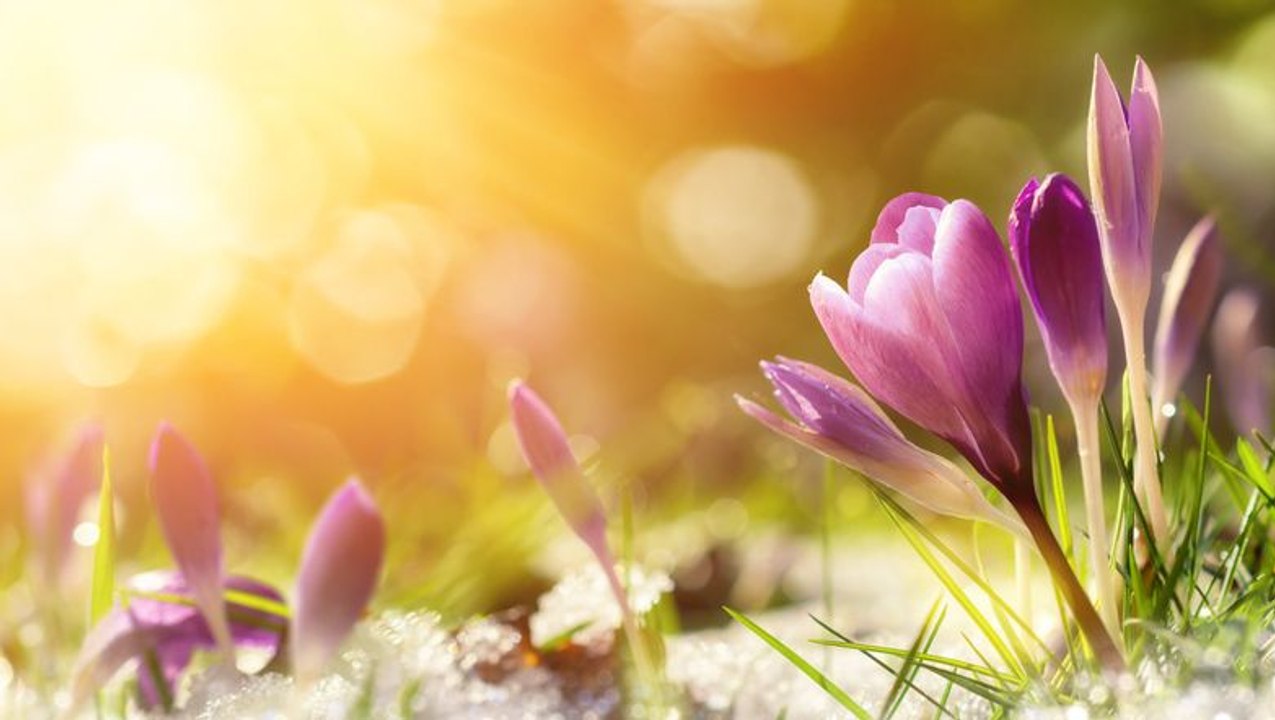 Everything to Know About the Spring Equinox