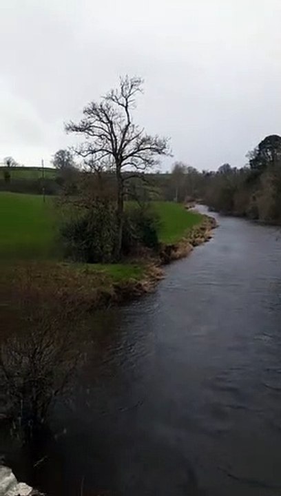 VID-20220216-WA0000