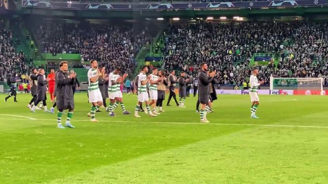 alvalade adeptos sporting city