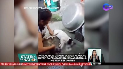 Panlalason umano sa mga alagang hayop sa Pangasinan, ikinababahala ng mga pet owner | SONA