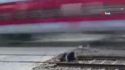 Motosikletli sürücü, trenin altında kalmaktan son anda kurtuldu