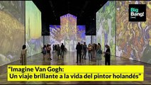 Imagine Van Gogh: un viaje brillante  a la vida del pintor holandés