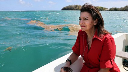Anne Hidalgo exigerait une taxe pour l'installation du chantier de Notre-Dame de Paris (1)