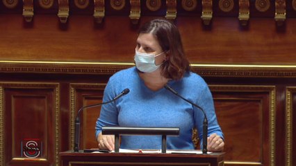 Démocratisation du sport: Roxana Maracineanu tance le "manque de courage"