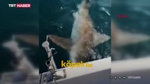 Antalya'da balıkçının ağına köpek balığı takıldı: O anlar kamerada