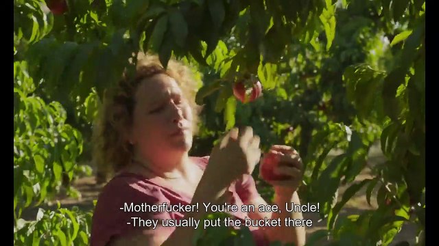 Primer teaser de 'Alcarràs' de Carla Simón, en catalán con subtítulos en inglés