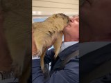 Pet Groundhog Greets Loving Owners