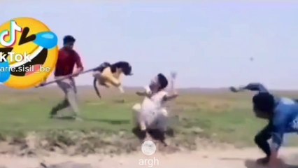 Kompilasi Video Lucu 17 Februari 2022