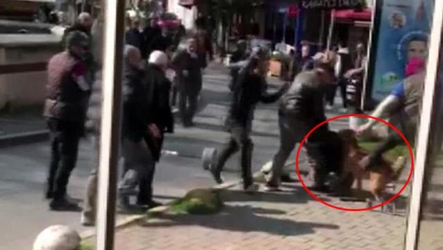 İstanbul'un göbeğinde pitbull dehşeti! Sokakta yürüyen 3 kişiye saldırı anı kamerada