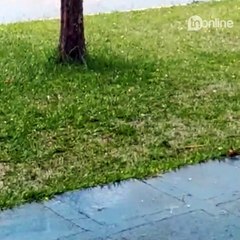 Chuva assusta moradores de Marilândia do Sul; veja