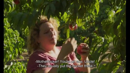 Tráiler de 'Alcarràs' de Carla Simón