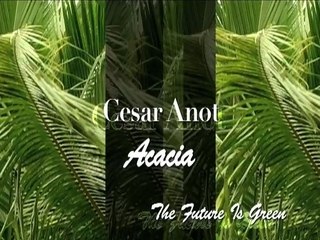 CESAR ANOT - ACACIA