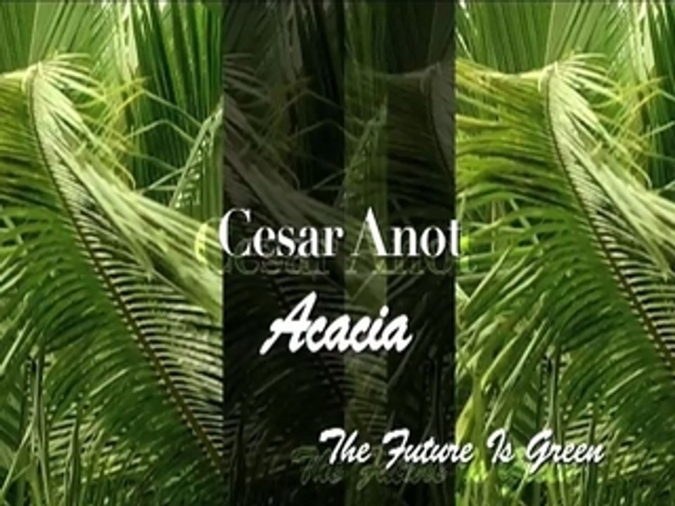CESAR ANOT - ACACIA