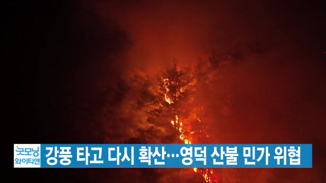 [YTN 실시간뉴스] 강풍 타고 다시 확산...영덕 산불 민가 위협 / YTN