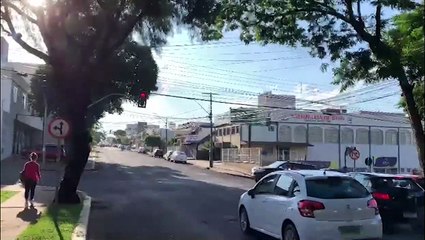 Árvores são podadas na tentativa de evitar colisões de trânsito no Centro