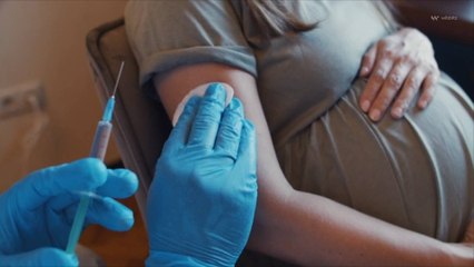 Babies Receive Protection When Pregnant Moms Get Vaccinated, New Study Shows