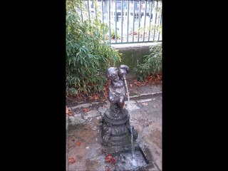 Visite du Muséum d'histoire naturelle de Grenoble #01