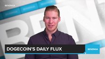 Dogecoin’s Daily Flux
