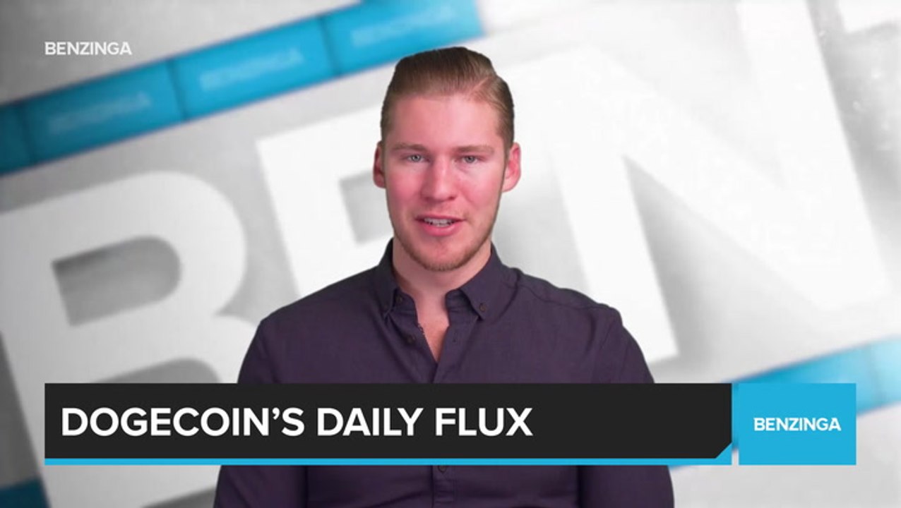 Dogecoin’s Daily Flux