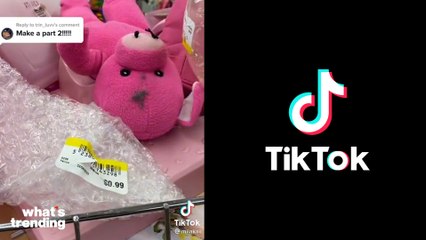 Goodwill Exposed for Selling Garbage in Viral TikTok